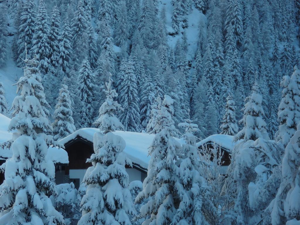 Hotel L' Aiglon Champoluc Bagian luar foto